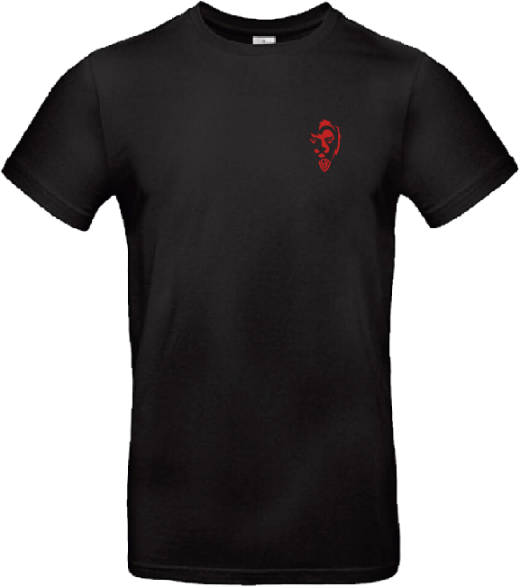 VfR-T-Shirt "1949" – Bild 3