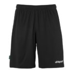 Center Basic Shorts FTP 100530601